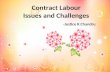 Contract Labour Issues and Challenges -Justice K Chandru.