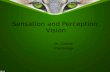 Sensation and Perception: Vision Mr. Callens Psychology.