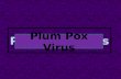 Plum Pox Virus. Also Known as Sharka or PPV A Devastating Viral Disease of Stone Fruit, Ornamental Shrubs and Trees from The Genus - Prunus Plum Pox Virus.