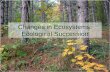 Changes in Ecosystems: Ecological Succession. Definition: Succession: Natural, gradual changes in the types of species that live in an area; can be primary.