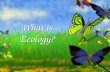 1 What is Ecology?. 2 Ecology: Study of interactions between organisms and their environment Abiotic Factors- Non-living parts of the environment. Biotic.
