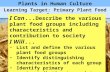 Plants in Human Culture Learning Target: Primary Plant Food Groups I Can... Describe the various plant food groups including characteristics and contribution.