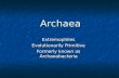 Archaea Extremophiles Evolutionarily Primitive Formerly known as Archaeabacteria.