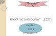 Electrocardiogram (ECG) Guyton 2011 Chapter 11 Session 5 1.