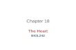 Chapter 18 The Heart BIOL242. Heart Overview Heart anatomy Cardiac muscle cells Heart chambers, valves and vessels Conducting system EKG Cardiac cycle.