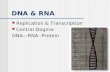 DNA & RNA Replication & Transcription Central Dogma: DNA—RNA--Protein.