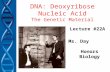 DNA: Deoxyribose Nucleic Acid The Genetic Material Lecture #22A Ms. Day Honors Biology.