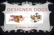 DESIGNER DOGS By Bailey McIndoe. WHAT IS A DESIGNER DOG?  Hybrid dogs: Controlled cross-breeding between two purebreds for desirable traits.  The Name.