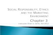 1 Chapter 3 Instructor Shan A. Garib, Fall 2012. Corporate Social Responsibility: a business’s concern for society’s welfare -reflects consideration of.