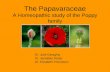 The Papavaraceae A Homeopathic study of the Poppy family Dr. Julie Geraghty Dr. Jonathan Hardy Dr. Elizabeth Thompson.