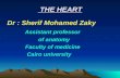 THE HEART Dr : Sherif Mohamed Zaky Assistant professor of anatomy Faculty of medicine Cairo university.