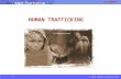 © 2015 albert-learning.com Human Trafficking HUMAN TRAFFICKING.