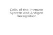 Cells of the Immune System and Antigen Recognition.