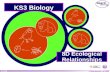 © Boardworks Ltd 2004 1 of 20 © Boardworks Ltd 2005 1 of 25 KS3 Biology 8D Ecological Relationships.