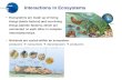Interactions in Ecosystems 2 CHAPTER Ecosystems are made up of living things (biotic factors) and non-living things (abiotic factors), which are connected.