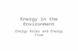 Energy in the Environment Energy Roles and Energy Flow.