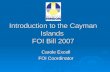 Introduction to the Cayman Islands FOI Bill 2007 Carole Excell FOI Coordinator.