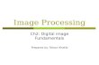 Image Processing Ch2: Digital image Fundamentals Prepared by: Tahani Khatib.