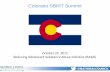 Colorado SBIRT Summit October 29, 2015 Reducing Adolescent Substance Abuse Initiative (RASAI)