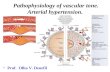 Pathophysiology of vascular tone. Arterial hypertension. Prof. Olha V. Denefil.