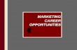 MARKETING CAREER OPPORTUNITIES. Marketing Defined The process of planning and executing the conception, pricing, promotion and distribution of ideas,