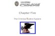 Chapter Five The Criminal Justice System Three Components of the Criminal Justice System Police Courts Corrections.