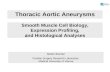 Smooth Muscle Cell Biology, Expression Profiling, and Histological Analyses Thoracic Aortic Aneurysms Stefan Blunder Cardiac Surgery Research Laboratory.