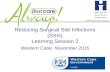 Reducing Surgical Site Infections (SSIs) Learning Session 2 Western Cape, November 2015.