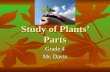Study of Plants’ Parts Grade 4 Mr. Davis Parts The seeds The seeds The roots The roots The stems The stems The leaves The leaves The flowers The flowers.