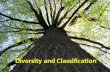 Diversity and Classification. Taxonomy “The science of naming organisms and assigning them to groups.” Taxa- groups to which Linnaeus assigned organisms;