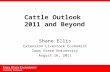 1 Cattle Outlook 2011 and Beyond Shane Ellis Extension Livestock Economist Iowa State University August 16, 2011.