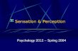 Sensation & Perception Psychology 2012 – Spring 2004.