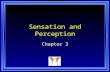 Sensation and Perception Chapter 3. Copyright © 2011 Pearson Education, Inc. All rights reserved. Chapter 3 Learning Objective Menu LO 3.1 Sensation and.