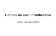 Capitalism and Stratification Some Key Elements. Concepts The building blocks of sociology Two important Sociological concepts include: Social Stratification.