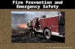 Copyright 2008 Deatherage Associates, LLC Fire Prevention and Emergency Safety.
