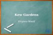 Kew Gardens Virginia Woolf. Outline Author Title Plot Characters Analysis Comments.