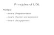 Principles of UDL Multiple –means of representation –means of action and expression –means of engagement.