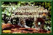 Honors Biology Ecology Part 2 Ecosystems and Communities.