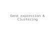 Gene expression & Clustering. Determining gene function Sequence comparison tells us if a gene is similar to another gene, e.g., in a new species –Dynamic.
