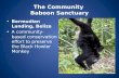 The Community Baboon Sanctuary Bermudian Landing, Belize A community-based conservation effort to preserve the Black Howler Monkey.
