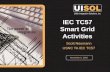 IEC TC57 Smart Grid Activities Scott Neumann USNC TA IEC TC57 November 6, 2009.