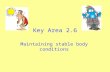 Key Area 2.6 Maintaining stable body conditions. Starter Activity: 2 Minutes thinking time. Discuss with your partner, what do you know about the nervous.
