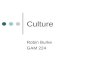 Culture Robin Burke GAM 224. Outline Culture Cultural Rhetoric.