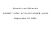 Vitamins and Minerals PANTOTHENIC ACID AND RIBOFLAVIN September 24, 2014.