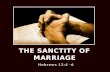 Hebrews 13:4 -6 THE SANCTITY OF MARRIAGE. a.Biblical Qualifications (of both partners) – Gen.2:18-25 1.Physical capability – Gen.2:7, Gen.26-27 2.Mental.