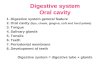 Digestive system Oral cavity 1. Digestive system general feature 2. Oral cavity (lips, cheek, gingiva, soft and hard palate) 3. Tongue 4. Salivary glands.