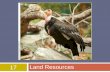 17 Land Resources. © 2015 John Wiley & Sons, Inc. All rights reserved. Overview of Chapter 17  Land Use  Wilderness, Parks, and Wildlife Refuges  Forests.