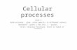 Cellular processes Unit 3 Grab scissors, glue, color pencils (4 different colors) [Notebook: Create a new Unit 3 – pocket, Title: Cellular Processes, Enter.