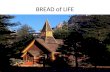 BREAD of LIFE. What spiritual “bread type” are you?