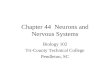 Chapter 44 Neurons and Nervous Systems Biology 102 Tri-County Technical College Pendleton, SC.